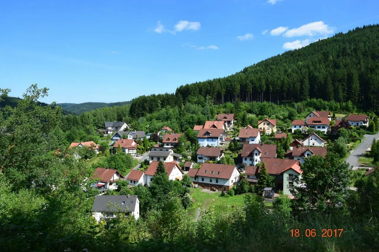 Feriehus Ferienhaus Sarah Villa Wallenfels Tyskland